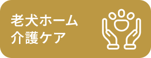 老犬ホーム 介護ケア