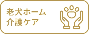 老犬ホーム 介護ケア