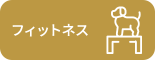 フィットネス