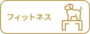 フィットネス