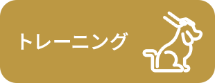 ・トレーニング