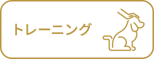 ・トレーニング