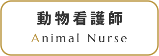 動物看護師