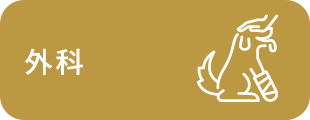 外科