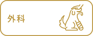 外科