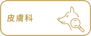 皮膚科